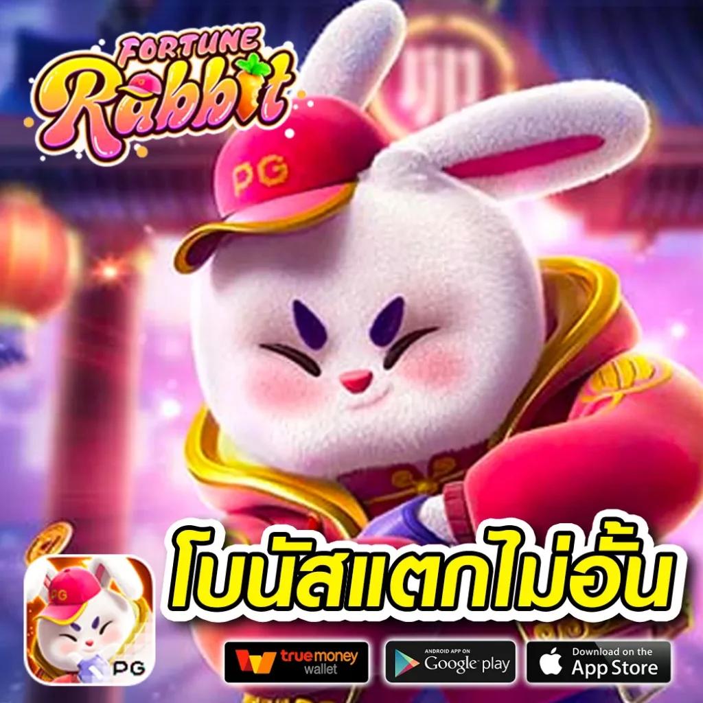 zeed365 แพลตฟอร์มคาสิโนออนไลน์ โปรโมชั่นสุดฮิต เล่นง่ายได้เงินจริง