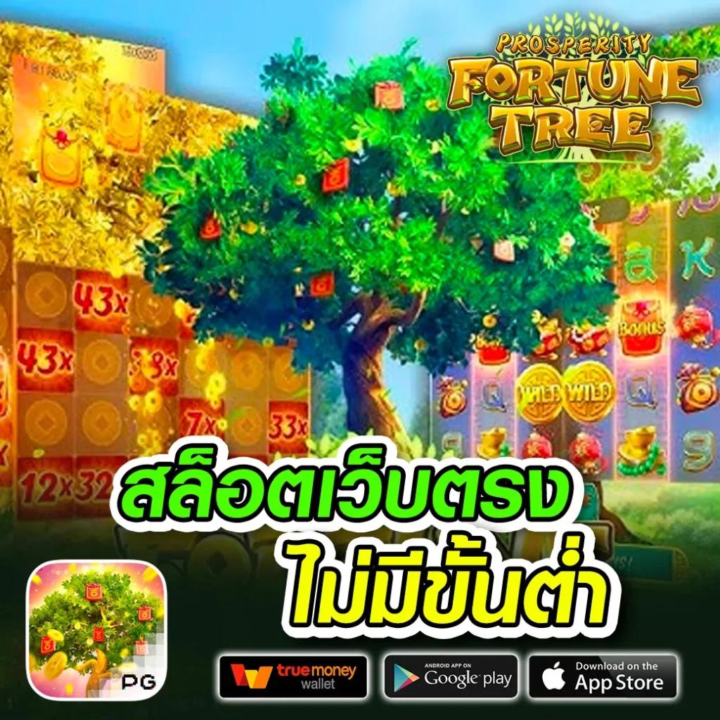 ดูบอลวันนี้ ตารางบอลวันนี่ สนุกเต็มอิ่มทุกแมตช์ในไทย