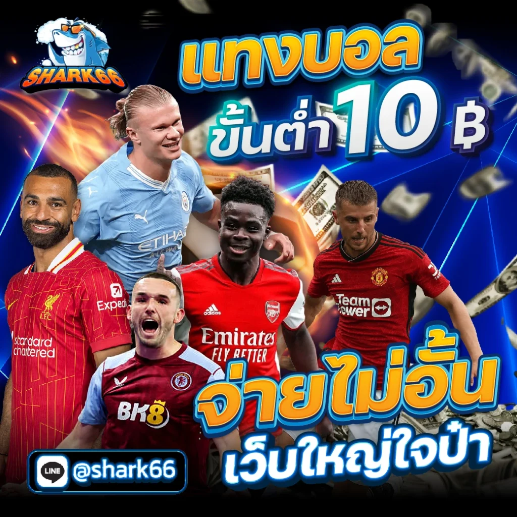 รับสปินฟรี คาสิโนออนไลน์ยอดนิยม โปรโมชั่นแรงที่สุด 2024