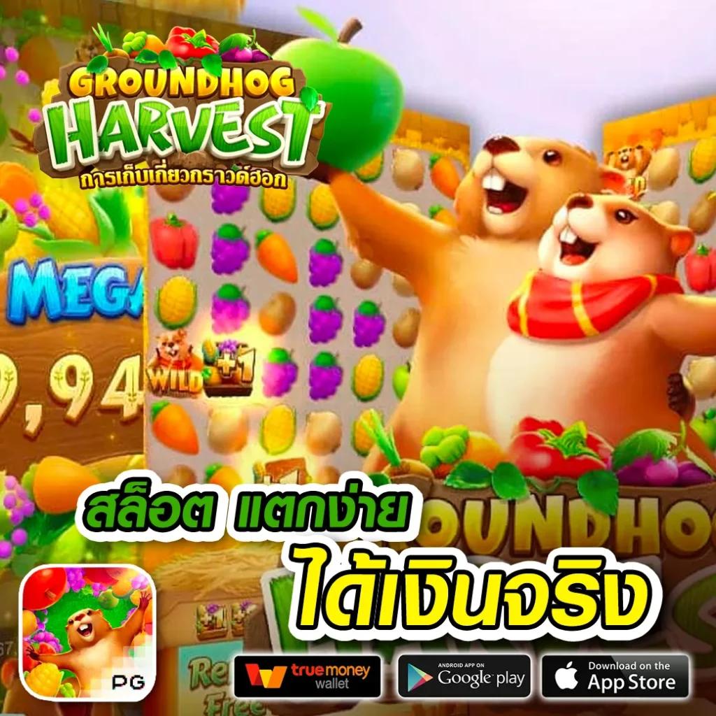 รวมเว็บ G2G ใหม่ล่าสุด เว็บตรงเล่นง่าย ไม่ผ่านเอเย่นต์